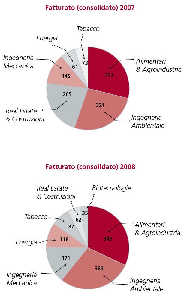 Fatturato 2008 Fatturato consolidato 2008 2007 Totale gruppo 1.211 1.