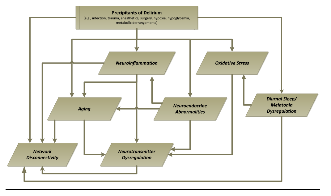La fisiopatologia del delirium: sette