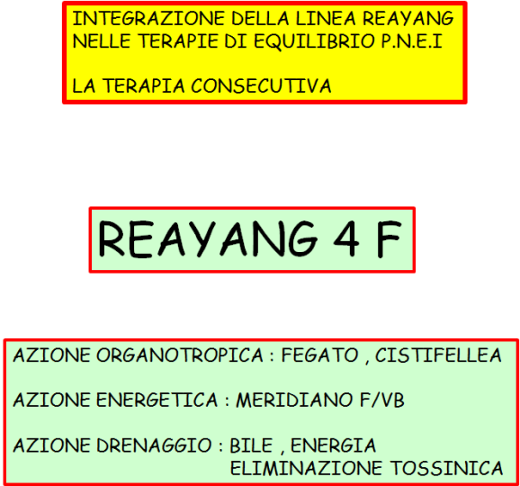 Schema 24