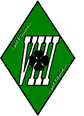 Il 1 settembre 1941, insieme ai battaglioni carri VII e IX costituì il 132 Reggimento carristi col quale combatté fino al luglio 1942.