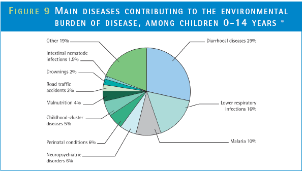 Altro 19% Infez. Intestinali da nematodi 1.