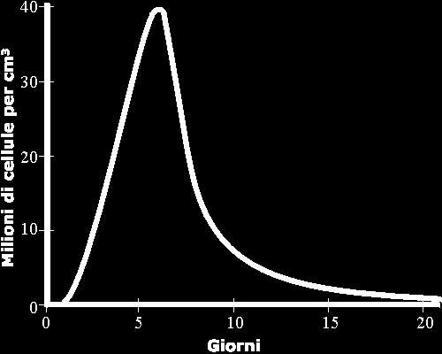 Ma se si esauriscono le risorse si verifica una crescita