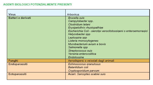 T= il microrganismo produce tossine V= esiste un