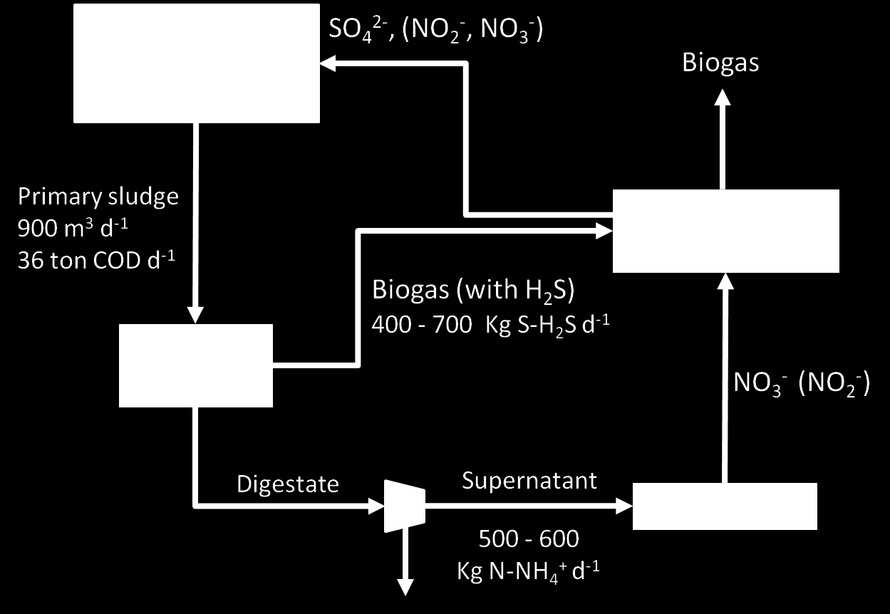 DESOLFORAZIONE BIOLOGICA DEL BIOGAS COMBINATA CON TRATTAMENTO DEI SURNATANTI BIOGAS SURNATANTE FASE 1 I test di desolforazione combinata del biogas e dei surnatanti hanno preso le mosse dalla