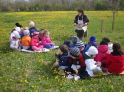 attività agricola costituisce l elemento identitario prioritario del territorio marchigiano: ha formato il suo paesaggio collinare, è protagonista della storia, è alla base della cultura alimentare,