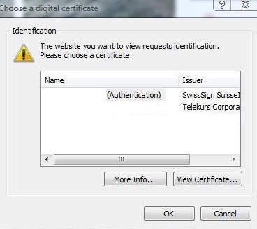 2.2. Certificato di login L'amministratore viene indirizzato automaticamente alla verifica dell'autorizzazione.