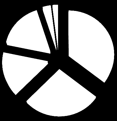 3,03% 1,99% 16,76% 15,69% 27,05% 35,48% 1 persona 2 persone 3 persone 4 persone 5 persone >5 persone Fig. 1.2.2 Distribuzione nuclei famigliari della comunità registrata alla Parrocchia Ss.