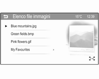 Visualizzazione di una presentazione Toccare t per visualizzare come presentazione le immagini memorizzate sul dispositivo USB. Toccare lo schermo per terminare la presentazione.