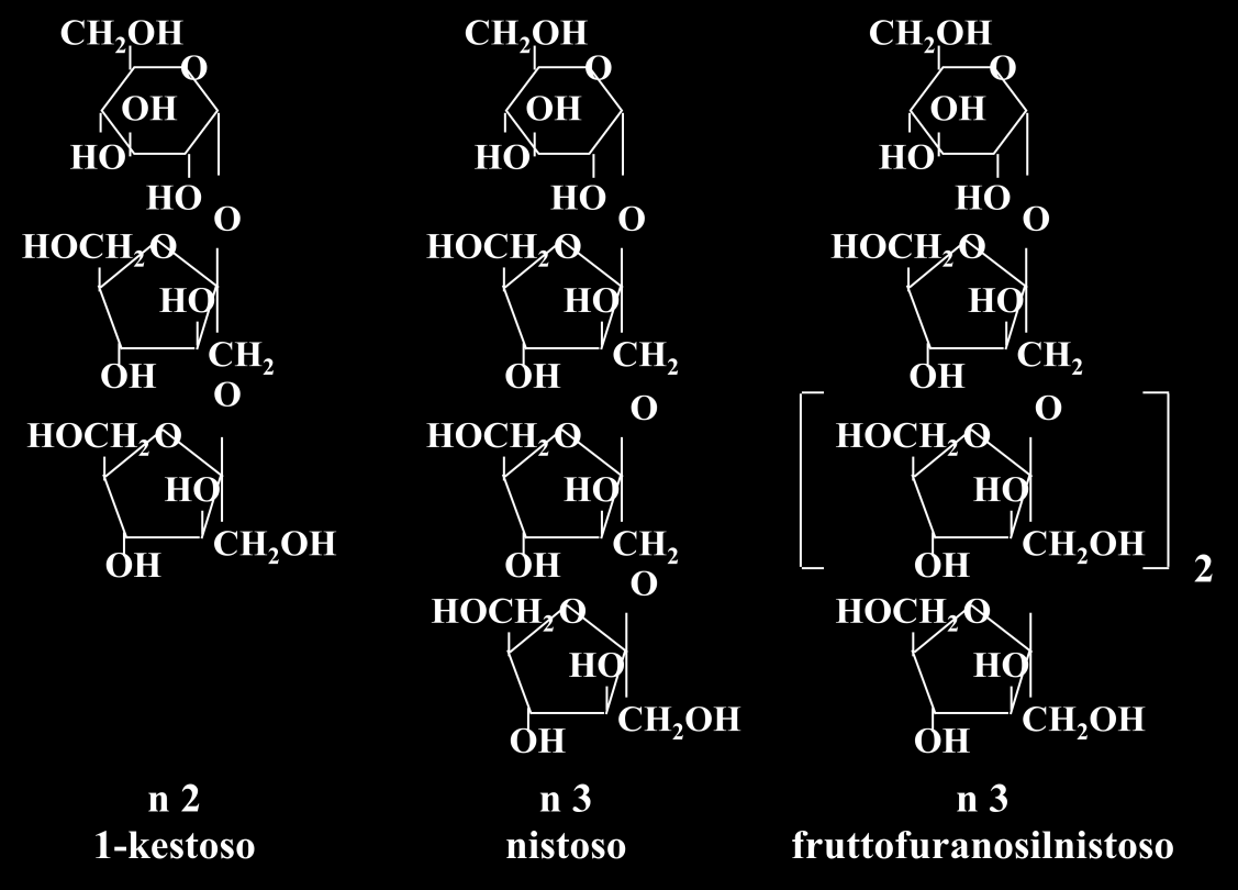 Frutto-oligosaccaridi (FOS): sono oligosaccaridi a catena corta costituiti da D-fruttosio e D-glucosio tipo GF 2, GF 3, GF 4 (dove G= molecola di glucosio e F =