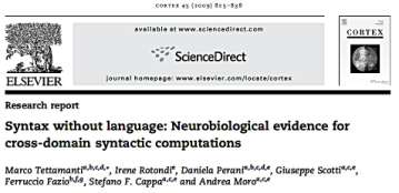 Il cervello e le lingue impossibili A un gruppo di soggetti esposti solo alla lingua tedesca sono state impartite lezioni di italiano e giapponese che nascondevano regole