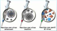 Preparazioni e classificazione dei vaccini MICRORGANISMI VIVI ATTENUATI 1.VIRUS: Polio (Sabin, OPV), morbillo, rosolia, parotite, varicella, febbre gialla. 2. BATTERI: BCG, tifo (orale).