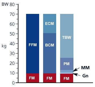 Composizione corporea Modello BI-COMPARTIMENTALE: BW= FM+FFM Modello MULTI-COMPARTIMENTALE= BW=FM+TBW+PM+MM+Gn FM= massa grassa 15%;