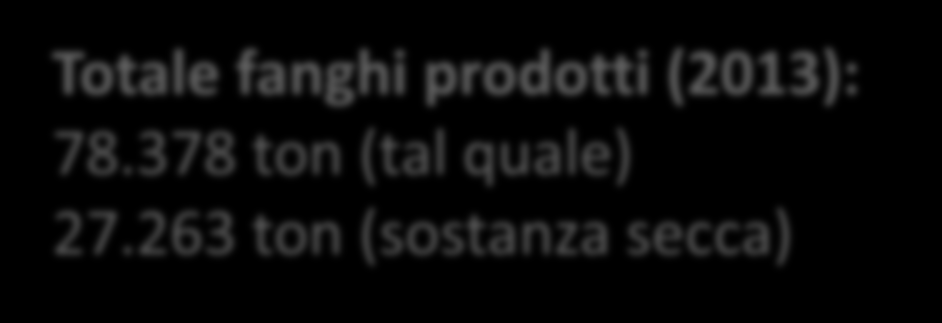 I fanghi di depurazione in SMAT Depuratori gestiti dal Gruppo SMAT Categoria (a.e.) numero a.e. trattati < 2.000 355 130.000 2.000 200.