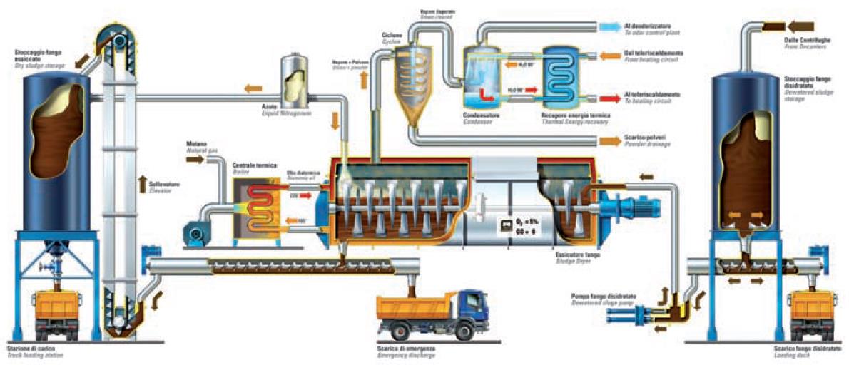 Impianto di essiccamento fanghi Riduzione dei volumi 2 linee gemelle con essiccatori a pale (essiccamento indiretto), funzionanti ad olio diatermico (220 C) passante attraverso la camicia e le pale