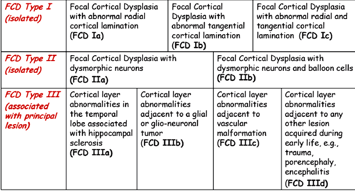 The histopathological spectrum of Focal Cortical Dysplasias : a revised classification