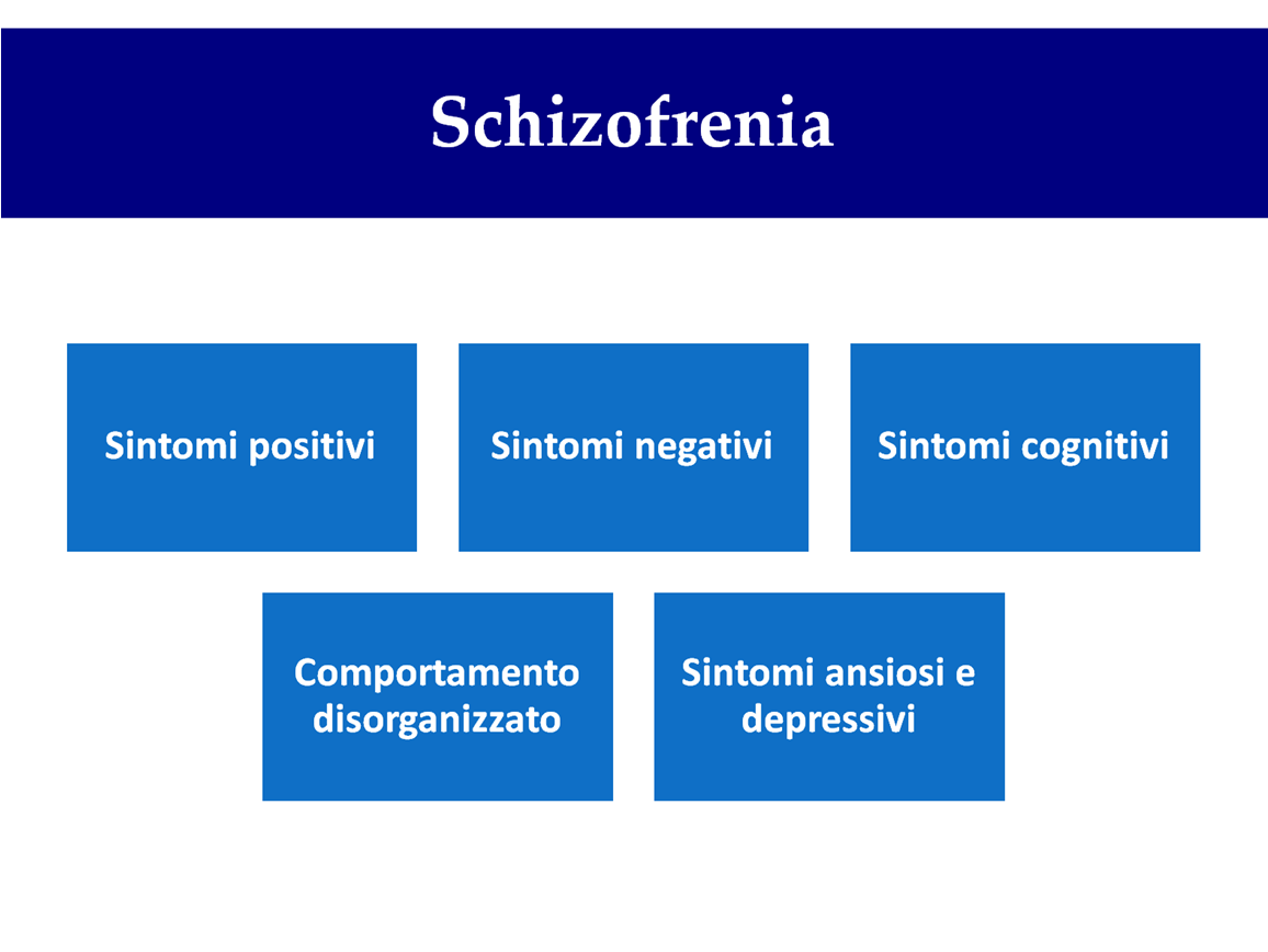 La schizofrenia è caratterizzata da "sintomi positivi", come allucinazioni e deliri; da "sintomi negativi" come appiattimento o ottundimento affettivo, alogia, abulia-apatia, anedoniaasocialità;