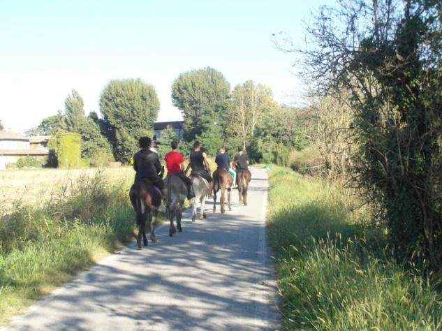 CARATTERISTICHE INNOVATIVE I ragazzi ospiti della Fattoria della Carità beneficiano in modo diretto e immediato degli effetti della relazione con gli asini, ma contestualmente lavorano perché altri