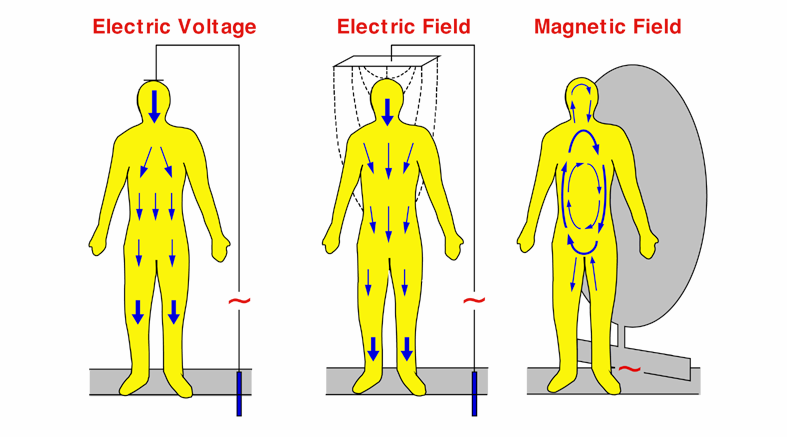 CAMPI ELETTRICI E MAGNETICI A BASSA FREQUENZA (1 Hz 100 KHz) Per frequenze < 1 MHz il principale meccanismo di interazione consiste nell induzione di correnti elettriche nei tessuti, con effetti sui