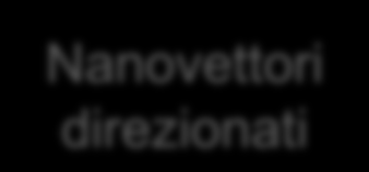 anovettori convenzionali Targeting Passivo anovettori direzionati Targeting Attivo anovettori direzionati con