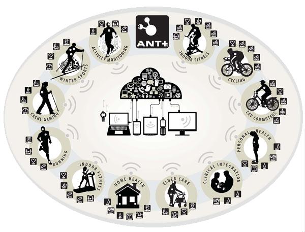 Profili ANT+ ANT+ è una sigla che indica le linee guida da seguire per: permettere a dispositivi