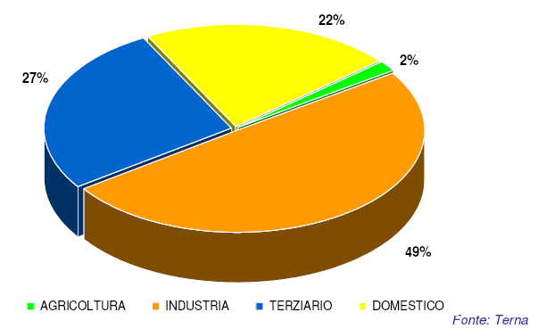 Introduzione (2/2) Consumi di energia elettrica Consumi di energia elettrica in Italia per settore: Negli ultimi anni il settore industriale ha assorbito il 49% del consumo italiano di energia