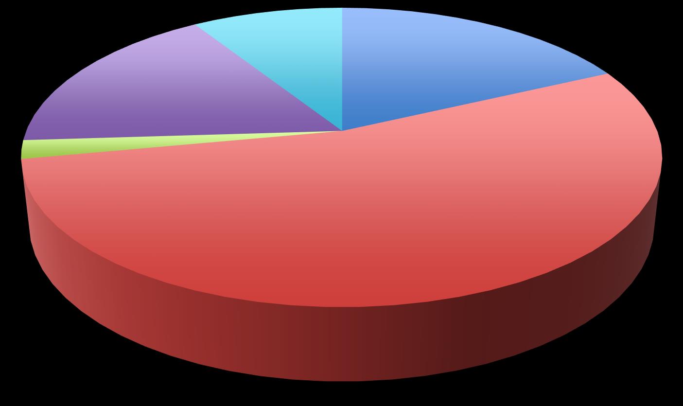 Composizione del bilancio Altri