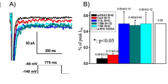 Figura Figura 9: Tracce di corrente INa nel WT e nei mutanti V14L, T78M, T79R e ΔKPQ-SCN5A (associata con LQTS di tipo 3), registrate usando il protocollo indicato. B.