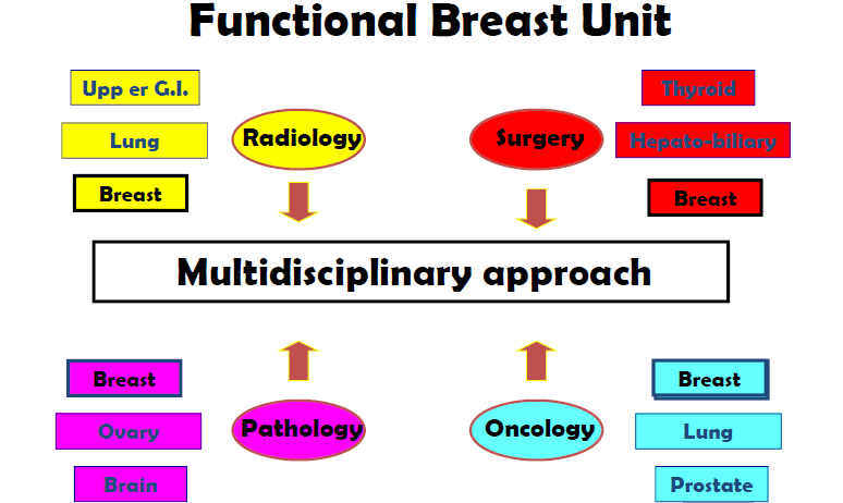 Breast Unit in