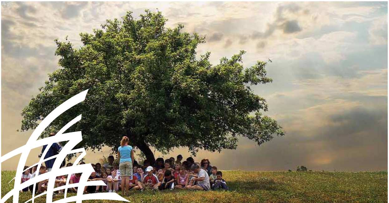 Presentazione Aziendale curriculum di SocioCulturale cooperativa sociale onlus Venticinque anni SocioCulturale