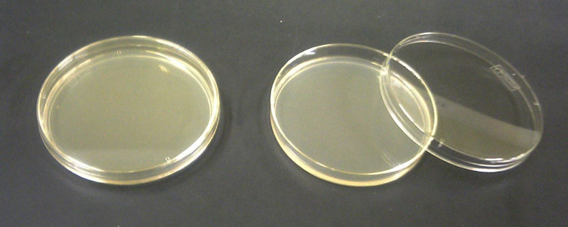 L antibiogramma: le tecniche Nel metodo delle diluizioni progressive la sensibilità del microrganismo viene valutata in base alla sua crescita o meno in un terreno di coltura - che può essere solido