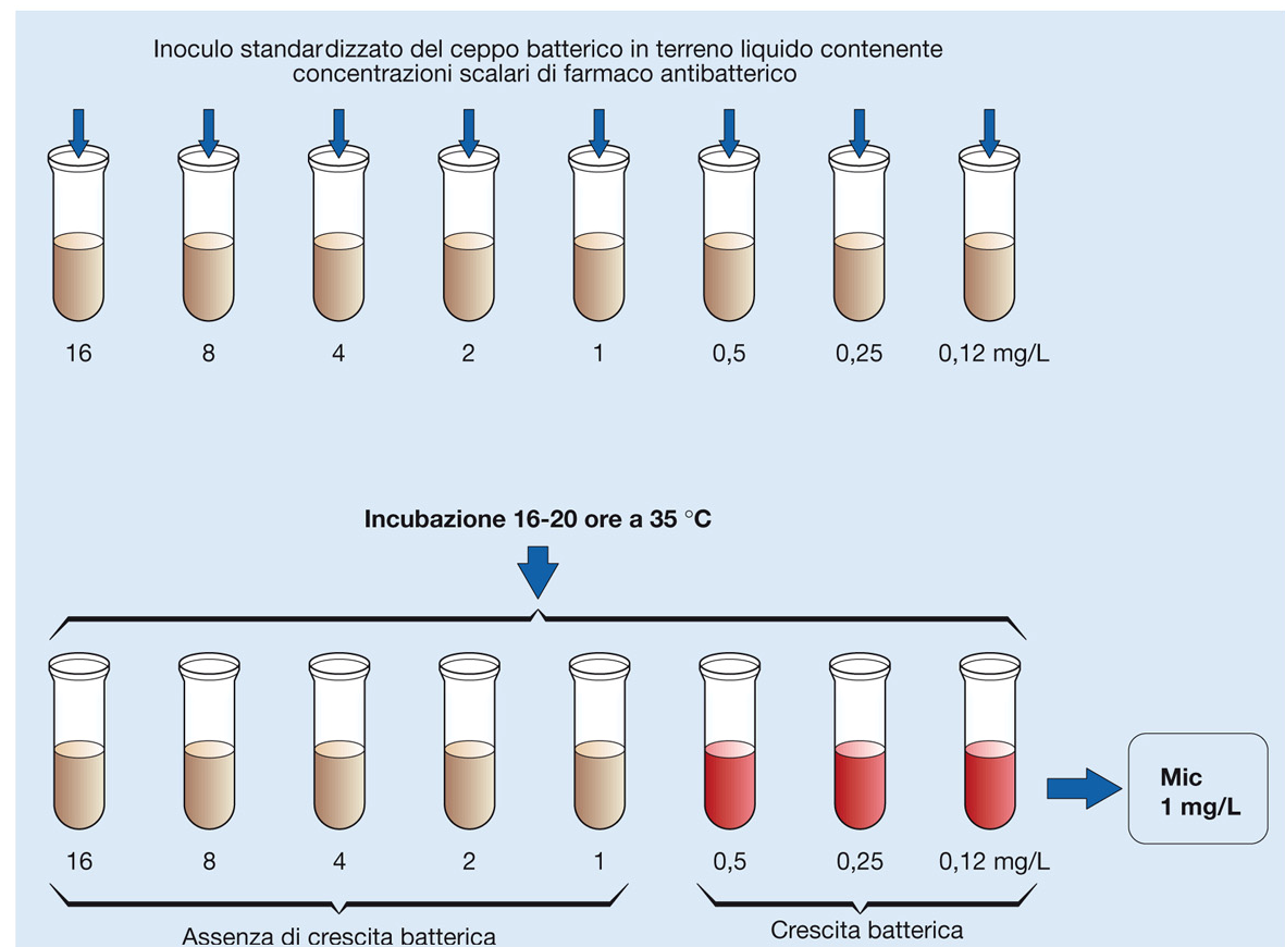 Minimum Inhibitory