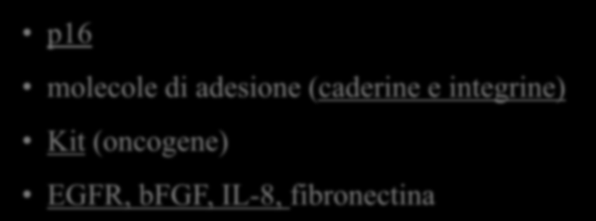 Geni più frequentemente mutati nei melanomi p16 molecole di adesione (caderine e integrine) Kit (oncogene)