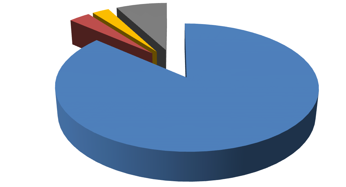 2% Rappresentazione delle nazionalità delle persone che si sono presentate allo sportello nel primo anno 3% 10%0% 85% europa america asia africa oceania 77 Suddivisione delle nazionalità nei vari