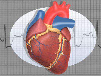 Frequenza Cardiaca - Fc È il numero di battiti che il cuore compie in un minuto Massima frequenza teorica: 220 -