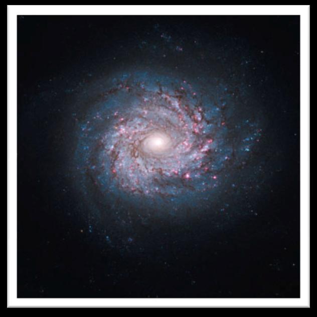 Il Sole Stella di media grandezza alla periferia di uno dei bracci a spirale della Via Lattea Circa a metà della sua vita (4.