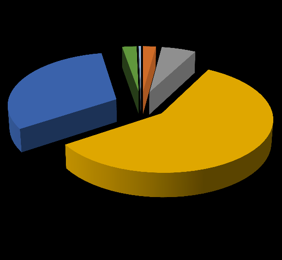 32% 2% 0% 0% 2% 6% CAMPIONI ITALIA - PR.FINITO CONTR.QUALITA'- PR.FINITO DISTRUZIONE - PR. FINITO PRIMA SCELTA - PR. FINITO RIASSORTIMENTO SHOPS 58% SECONDA SCELTA - PR.