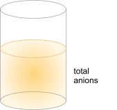 GAP ANIONICO Gap anionico = [Na[ + ] ([Cl - ]+[HCO - 3 ]) Il gap anionico viene calcolato sottraendo la somma delle concentrazioni del Cl - e del HCO 3- alla