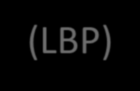 La lombalgia o Low back pain (LBP) La lombosciatalgia è rappresentata da una lombalgia con irradiazione dolorosa al di sotto del ginocchio (interessamento di L5 o S1, in oltre il 90% dei casi di