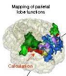 DE (OMS) disturbo a patogenesi organica,