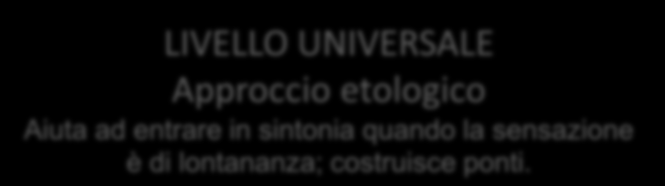 LIVELLO INDIVIDUALE Approccio costruttivista Aiuta a cogliere il sistema di significato delle persone.