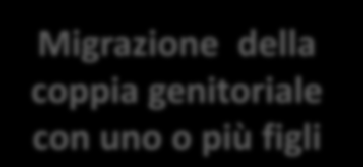 Migrazione della coppia insieme Migrazione della coppia genitoriale con uno o più figli LE COPPIE MIGRANTI: tante strutture, molte storie, diversi