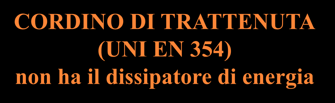 SISTEMA DI ARRESTO CADUTA CORDINO DI TRATTENUTA (UNI EN 354) non ha il dissipatore