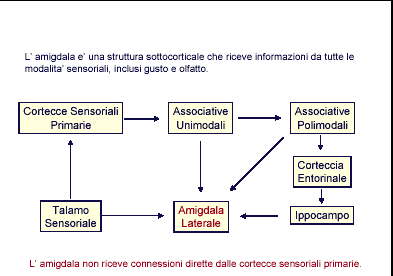 Circuiti