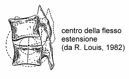 Louis localizza i centri della flessoestensione