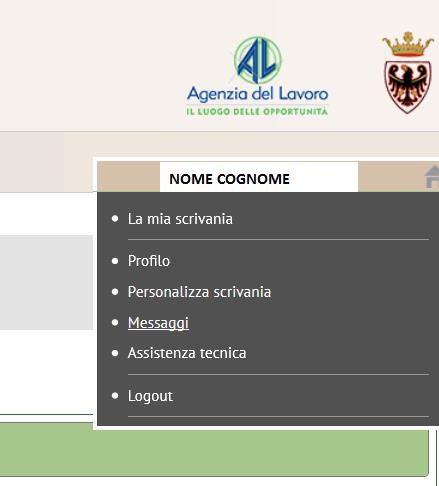 Messaggistica Dal profilo in alto a destra puoi infine accedere ai messaggi, che possono essere inviati dall'amministratore di sistema, come ad esempio le notifiche delle tue autocandidature, o