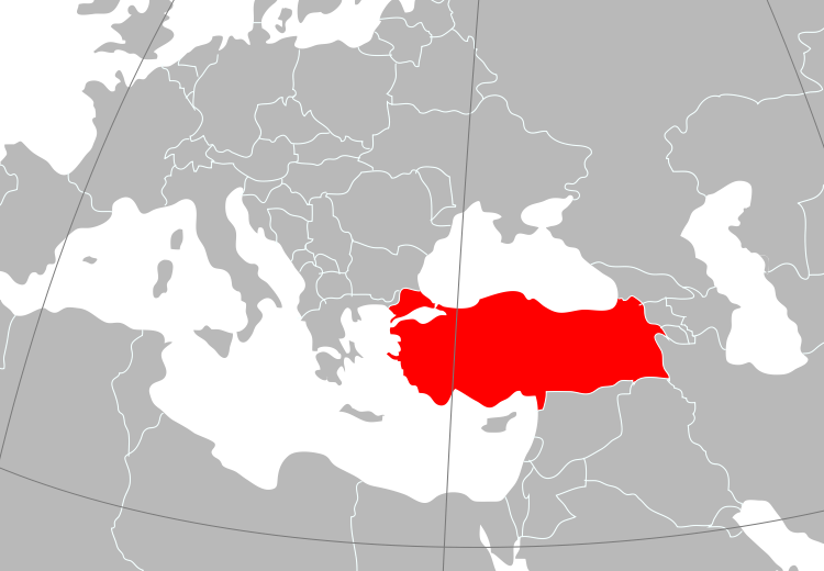 Turchia Dati paese Superficie Popolazione Capitale Forma di governo Età media Città principali (popolazione) Lingua ufficiale 783.