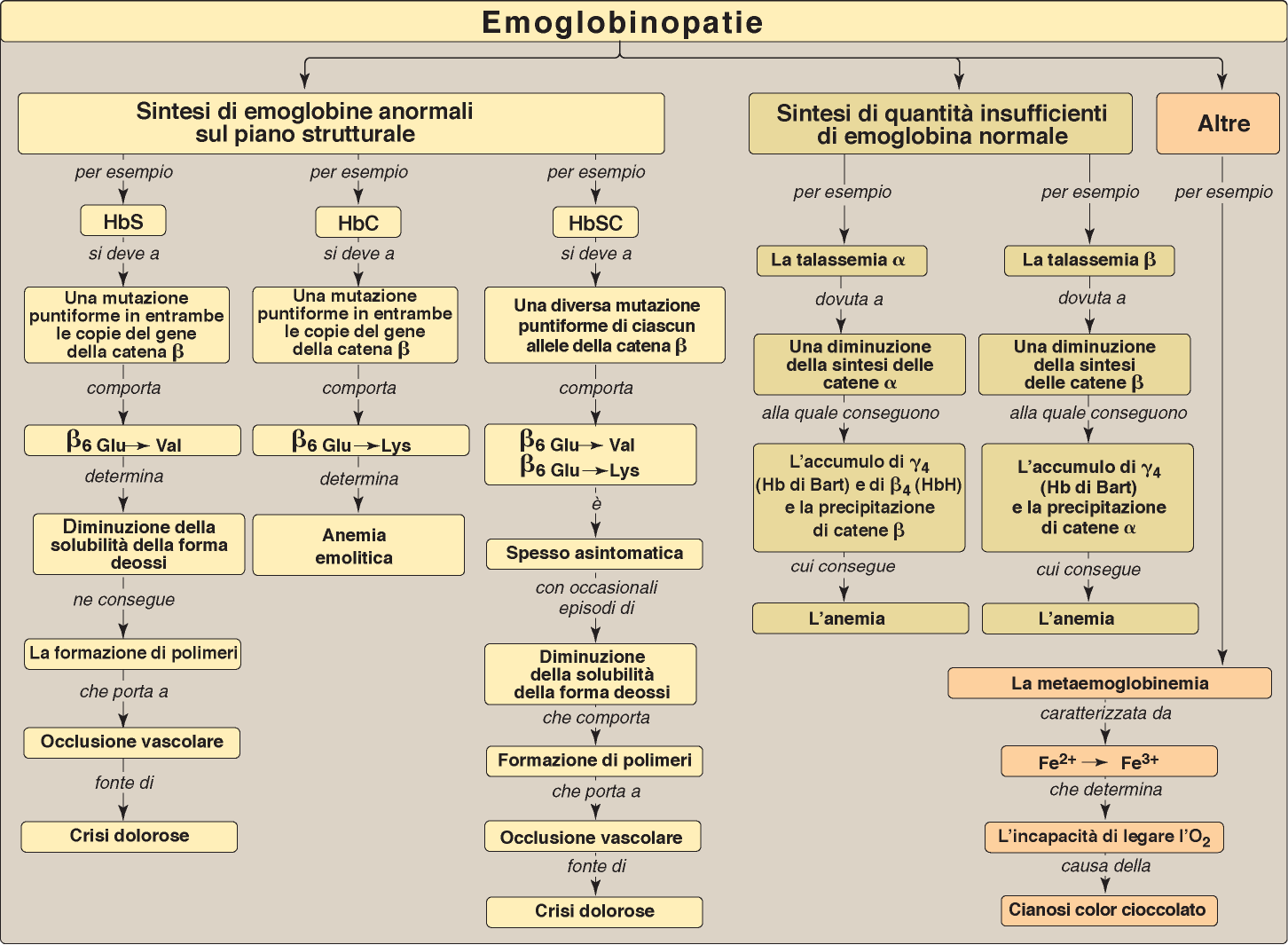 Patologie correlate ad alterazioni