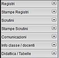 Stampe Registri Tramite la funzione Stampe il docente può liberamente produrre le stampe di suo interesse, senza