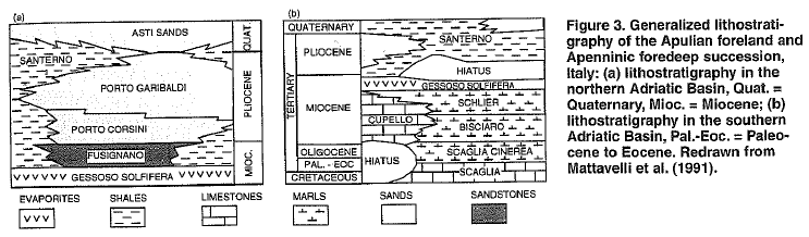 Plio- Pleistocenici dell avanfossa Adriatica.