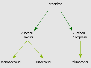 I CARBOIDRATI Pasta, pane, zucchero e miele. Il carburante dei ciclisti per fare il pieno di energia!! Iniziamo la carrellata dei nutrienti con la "benzina" dei ciclisti:i carboidrati.